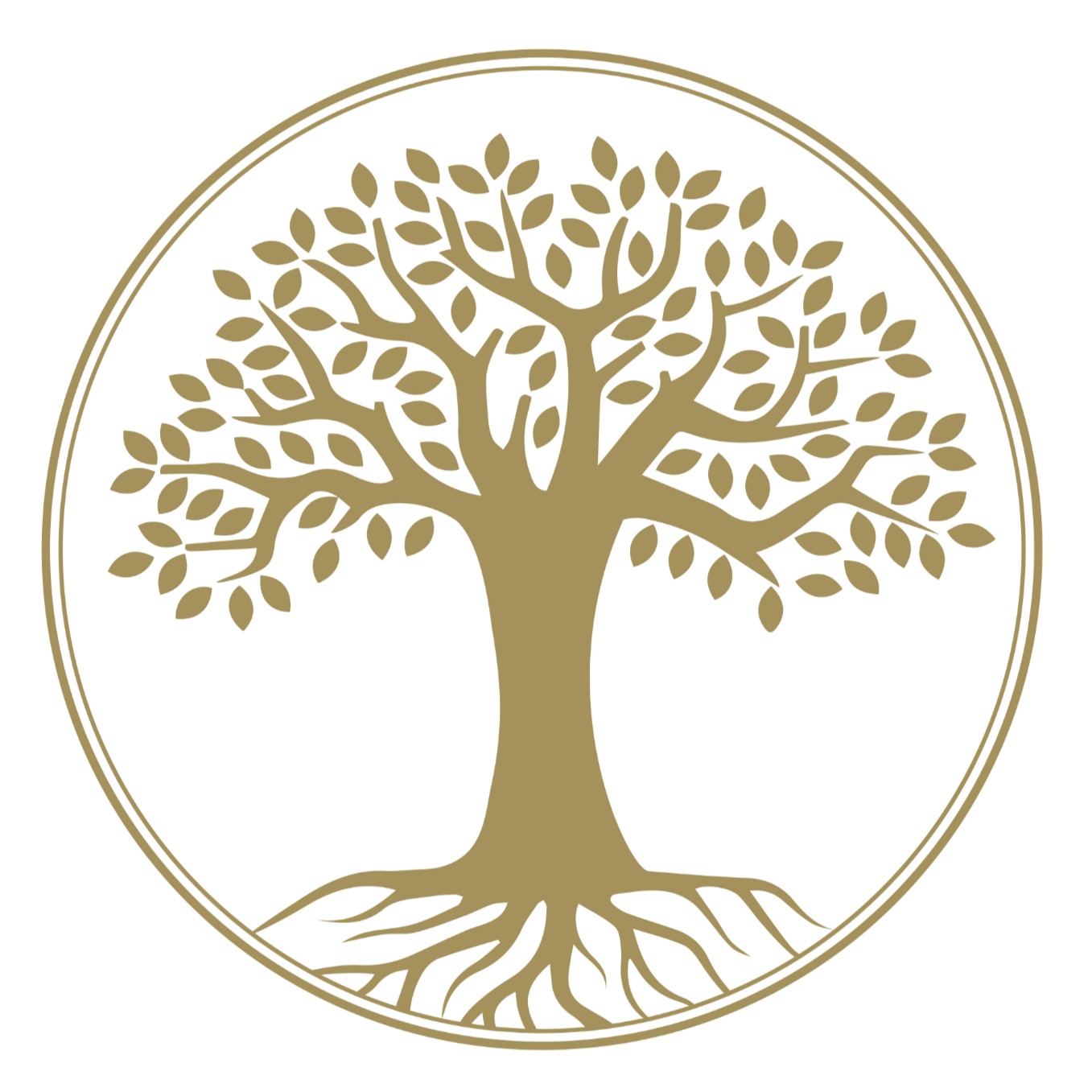 Home 12 Elite Legacy Planning — ler matéria