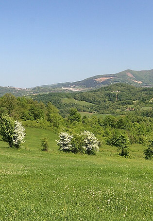 Šumadija 2.jpg