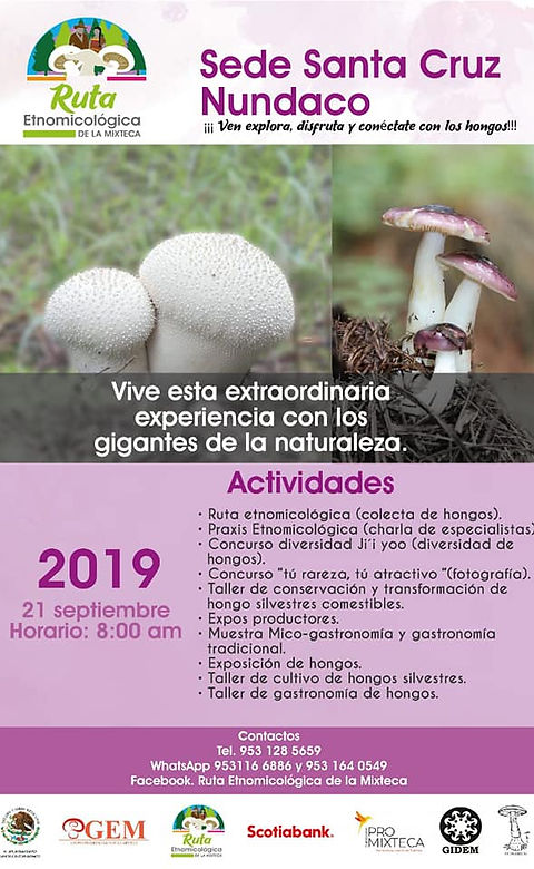 Ruta_Etnomicológica_de_la_Mixteca_2019.j