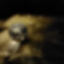 bulle_lumiere.jpg