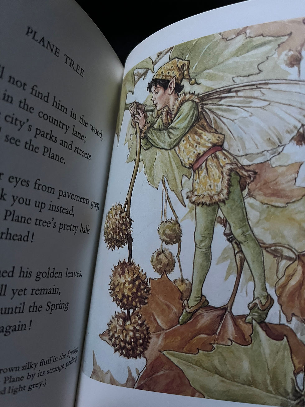 Thumbnail: Flower Fairies Of The Trees - Poems And Pictures