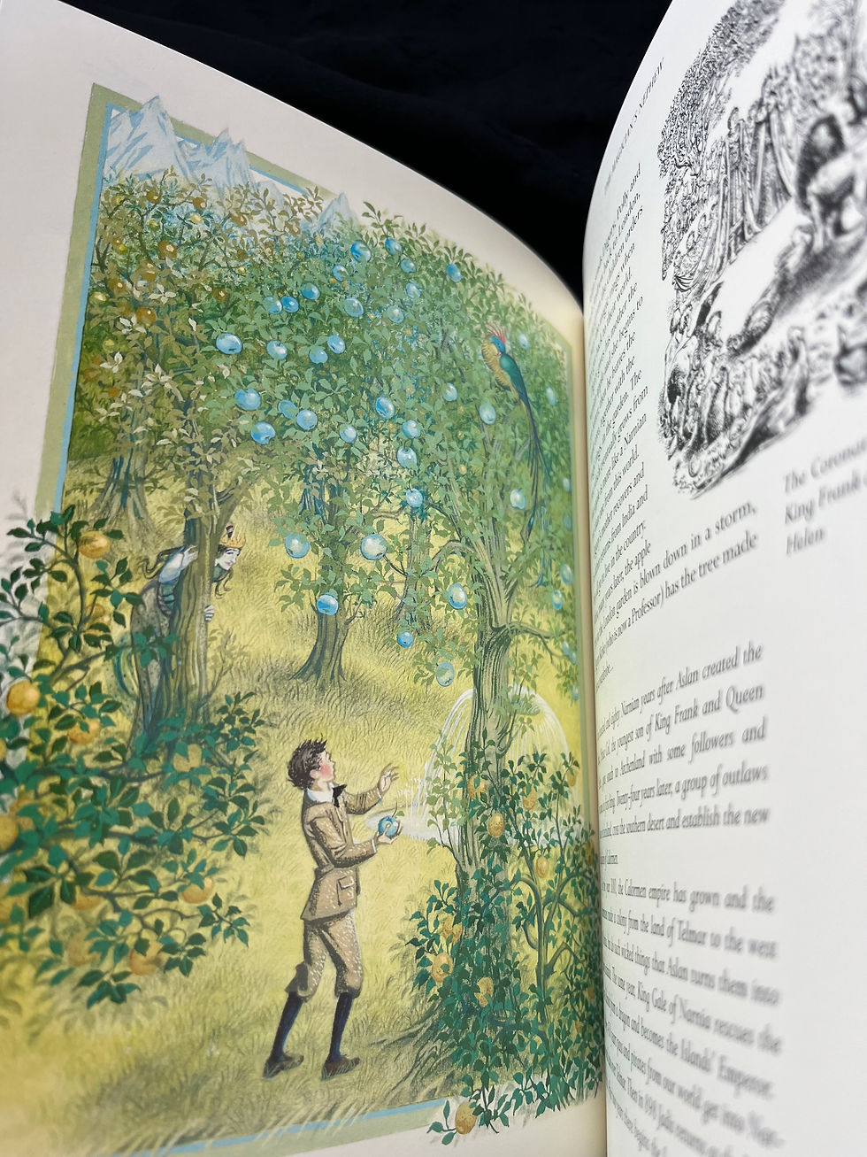 Thumbnail: The Land of Narnia: Brian Sibley Explores the World of C. S. Lewis