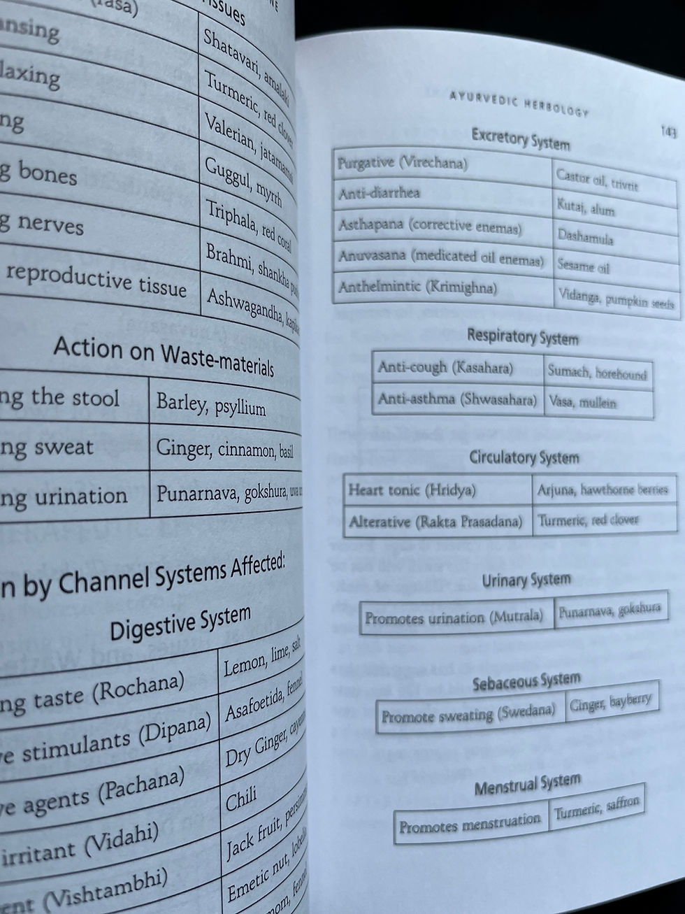 Thumbnail: Ayurveda, Nature's Medicine