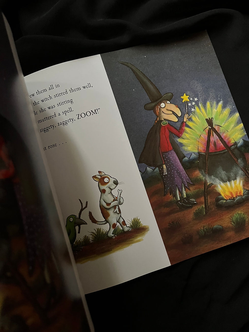 Thumbnail: Room on the Broom