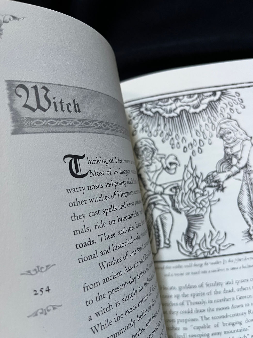 Thumbnail: The Sorcerer's Companion: A Guide to the Magical World of Harry Potter