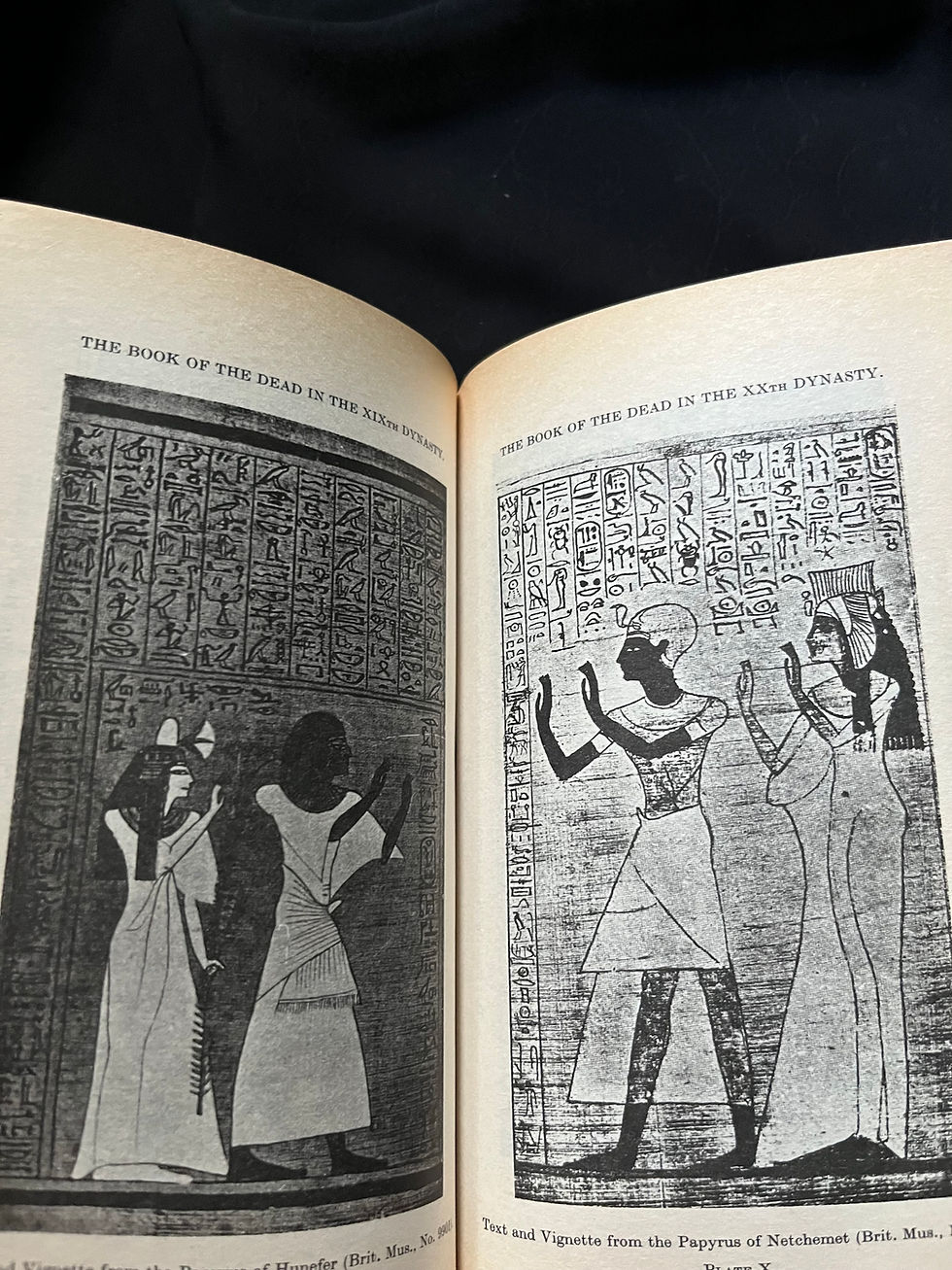 Thumbnail: The Book of the Dead