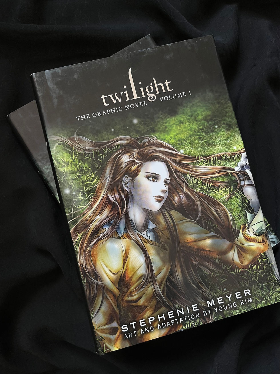 Thumbnail: Twilight: The Graphic Novel (Set of 2)