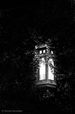 Illuminate