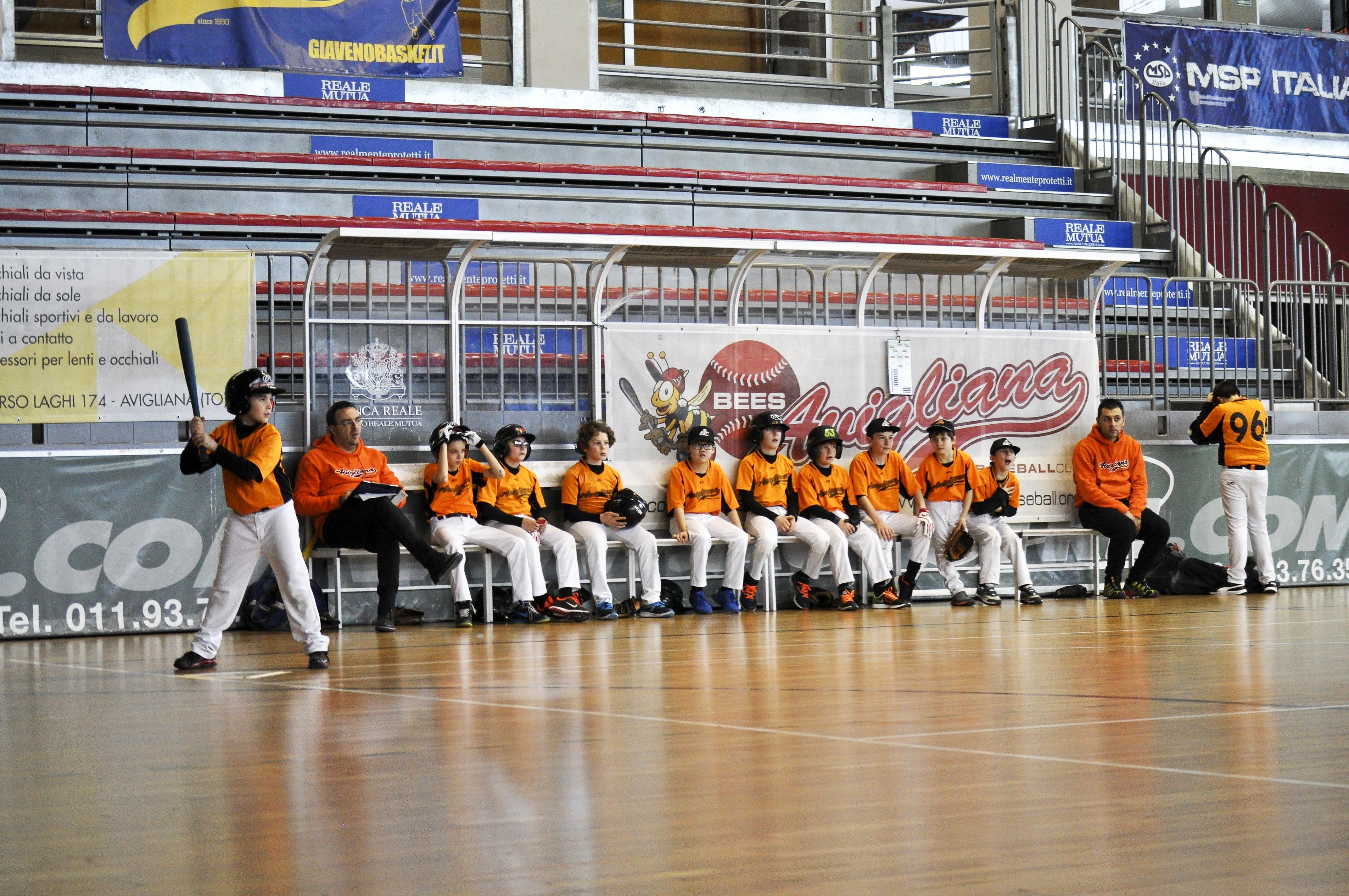 Western League - Giaveno