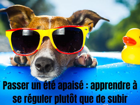 Passer un été apaisé : apprendre à se réguler plutôt que de subir