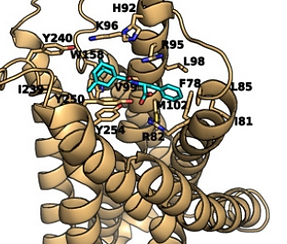 image (1).png