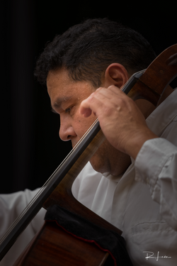 Trío de Bellas Artes_MG_8133_1