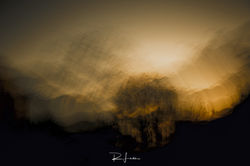 _MG_2500