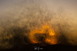 _MG_1879 (1)