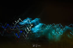 _MG_4115