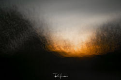 _MG_9912