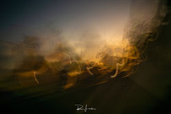 _MG_2084