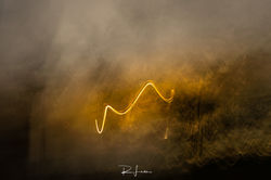 _MG_0363