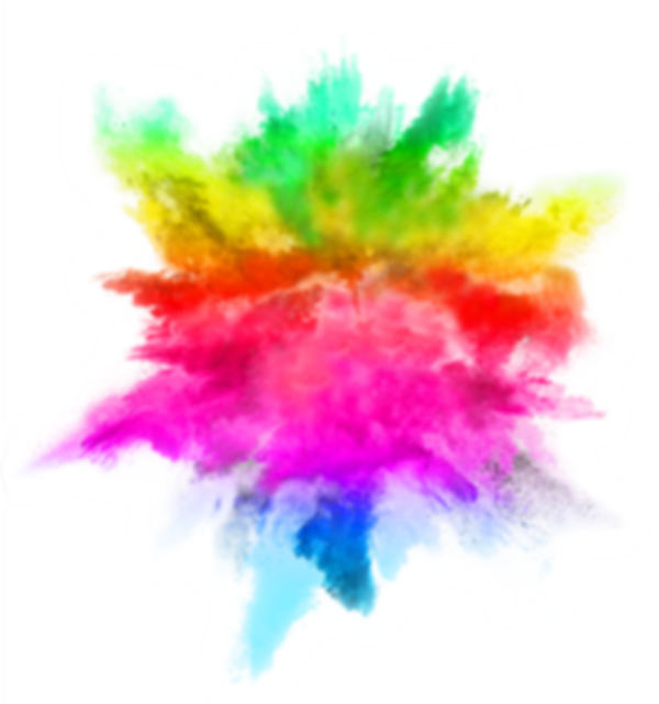 logo vector.png