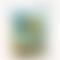 AMNÉSIE DE L'ÂME : un oubli nécéssaire ? 