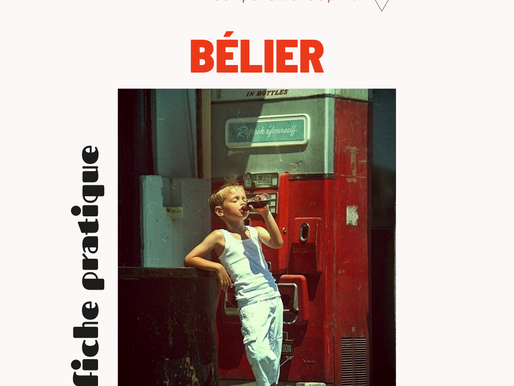 FICHE PRATIQUE / BÉLIER