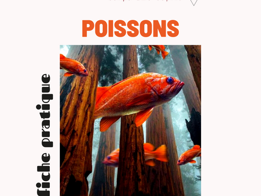 FICHE PRATIQUE / POISSONS