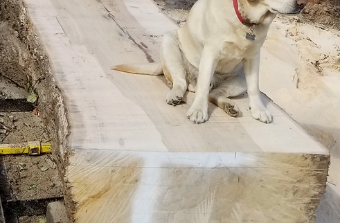 Screenshot 2025-08-11 at 6.42.09