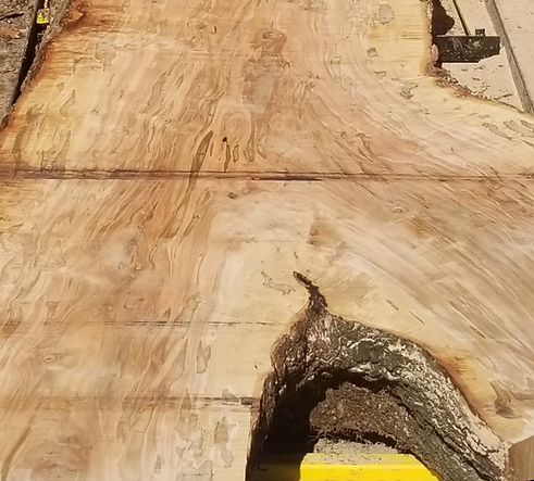 Screenshot 2025-08-11 at 6.41.58 PM.png