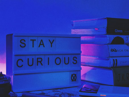 On the neurobiology of the novelty-seeking trait of curiosity