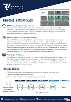 RunPrime - Professional Services (1)