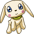Salamon.gif