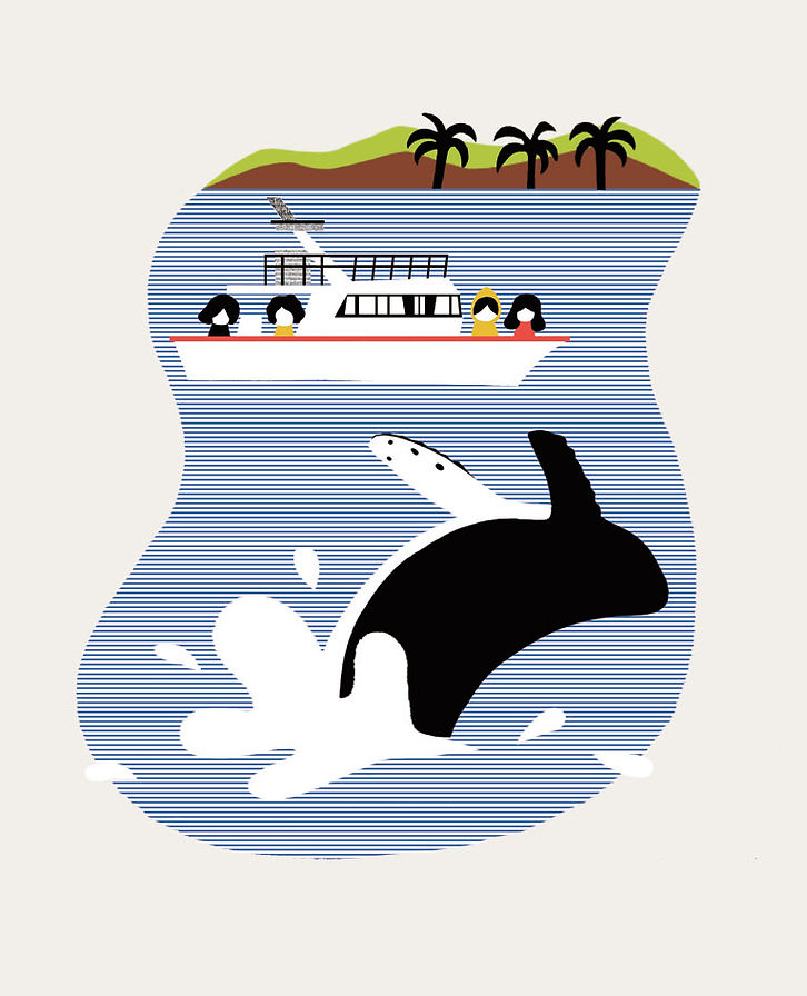 Whale1107.jpg