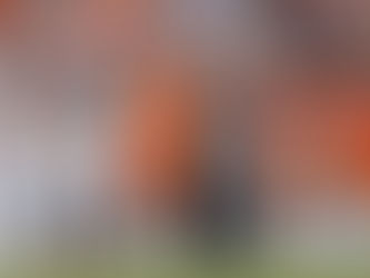 Fan Guide for the 25-26 Broncos Season