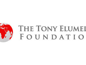 Tony Elumelu Foundation partners with UNICEF