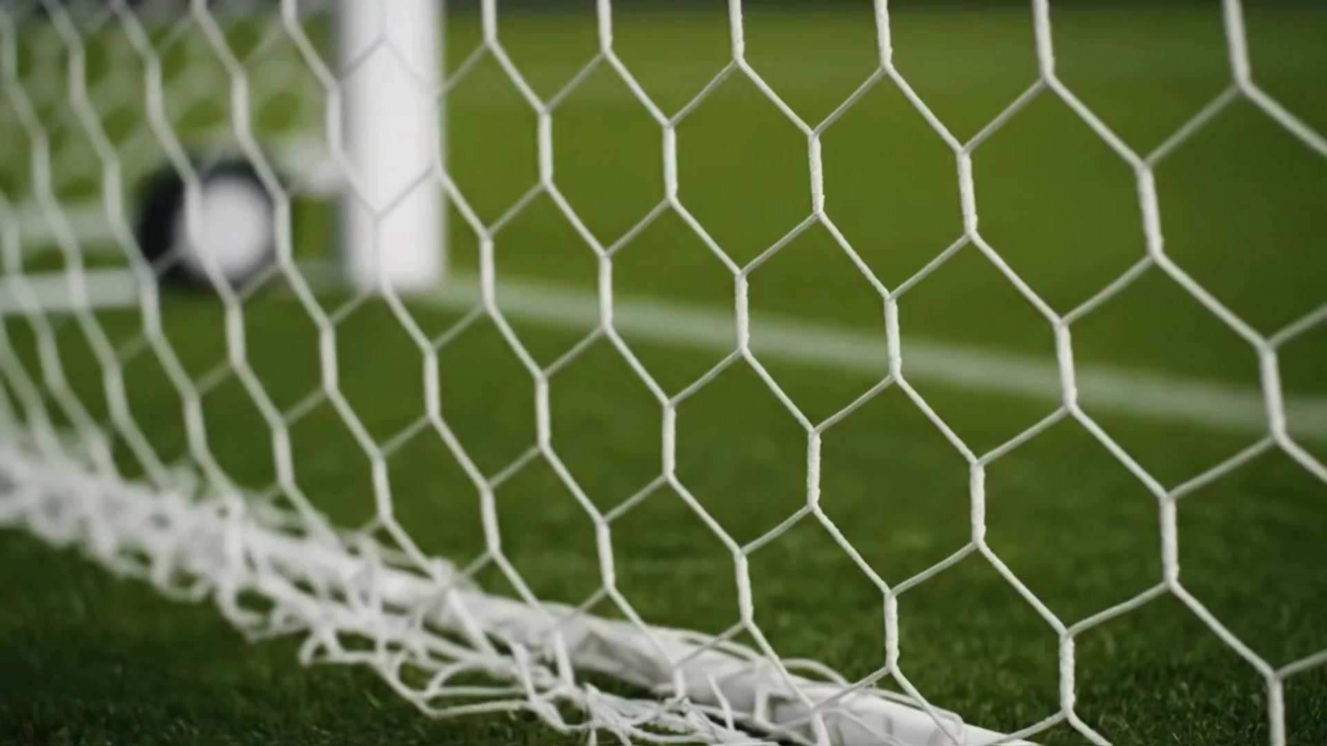 Michigan Stars Soccer Club
