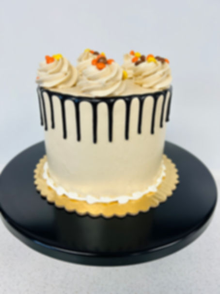 Chocolate Peanut Butter Cake