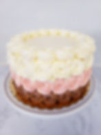 Neapolitan Cake