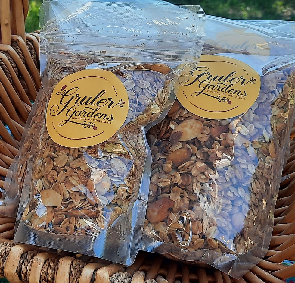 Gingerbread House Granola (1 lb. bag)