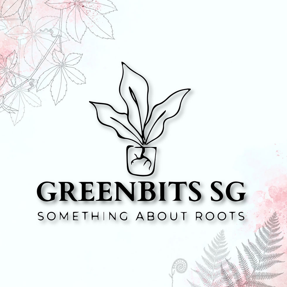 Greenbits Pokok Dad