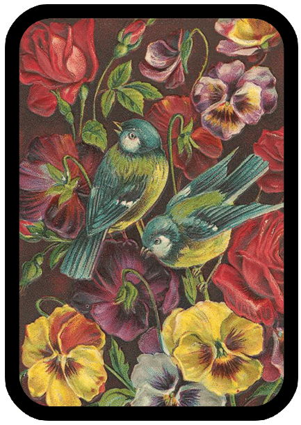 3106 Bluetits