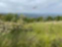 landscape_led_.jpg