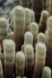 rob august photography mimi sebastian 0011 PRINT.jpg