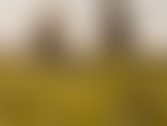 Elternschaft oder wenn das Glück plötzlich alles verändert