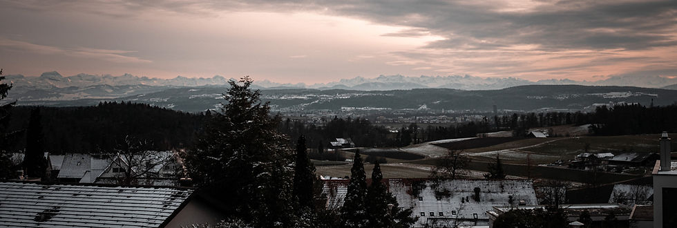 Kuonen Immobilen GmbH - gegen das verdichtete Bauen