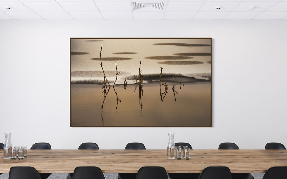 Miniaturbild: Wandbild "Wintergold"