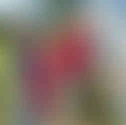 Subdirector de Cooperación México, Centro América y el Caribe de la AECID visita la Comarca Ngäbe-Buglé para conocer avances del Programa de Acceso Universal a la Energía