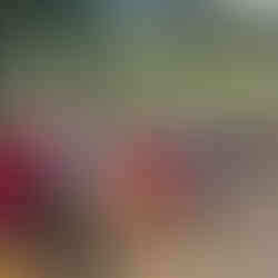 Programa de Acceso Universal a la Energía impulsa el liderazgo, emprendimiento y transformación social en el Segundo Foro Juvenil de la Comarca Ngäbe-Buglé