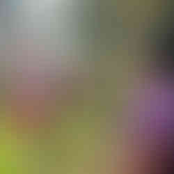 Subdirector de Cooperación México, Centro América y el Caribe de la AECID visita la Comarca Ngäbe-Buglé para conocer avances del Programa de Acceso Universal a la Energía