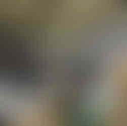 tercera jornada del Foro Juvenil de la Comarca Ngäbe-Buglé promueve el liderazgo y el emprendimiento en los jóvenes de la comunidad de Camarón Arriba