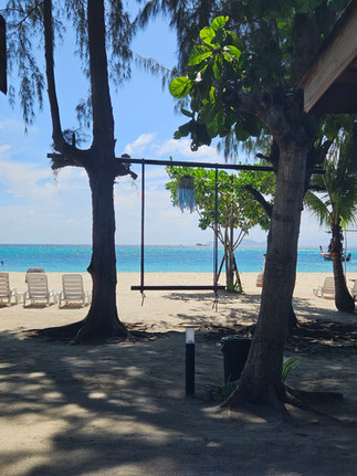 gugalnica na peščeni plaži s kristalno modro vodo